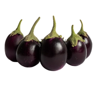 Brinjal Purple small