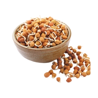 Black Channa Sprouts