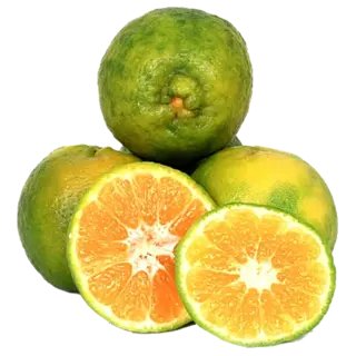 Orange Nagpur