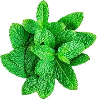 Mint (Pudina) 50g