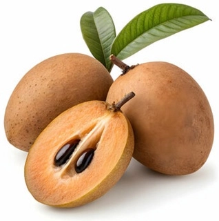 Sapodilla (Chikoo) 4 Pcs