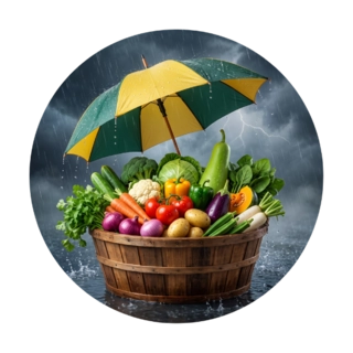 Fresh Vegetables