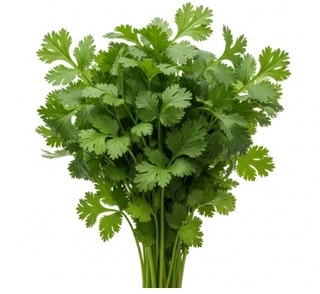 Coriander Leaves (Dhania)