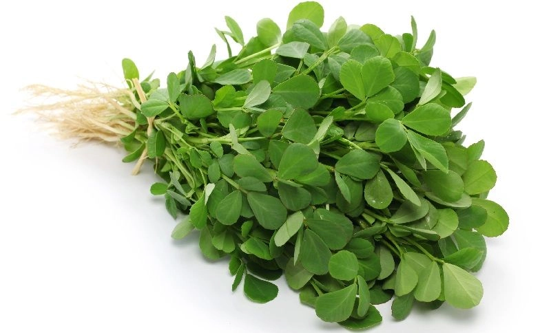 Methi Leaf (Aka Fenugreek)