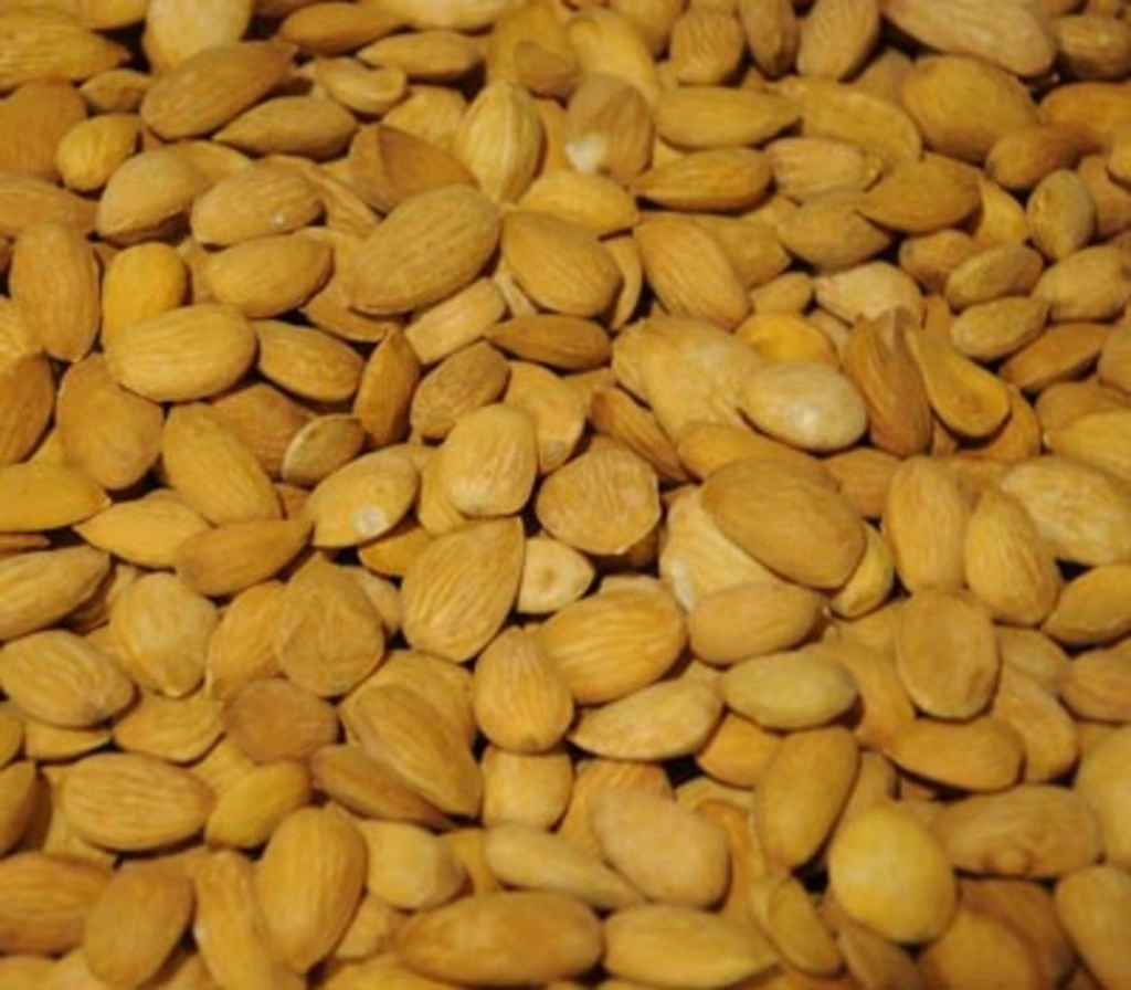 BADAM GURBANDI