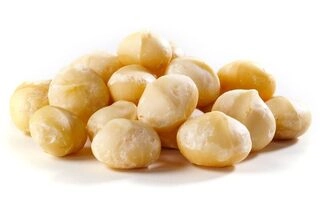 Macadamia