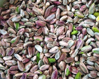PISTA BAREEK