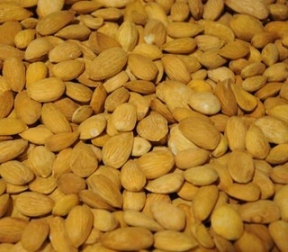 BADAM GURBANDI