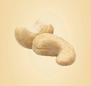 KAJU 2PCS
