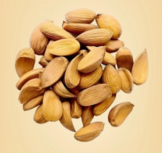 MAMRA JUMBO