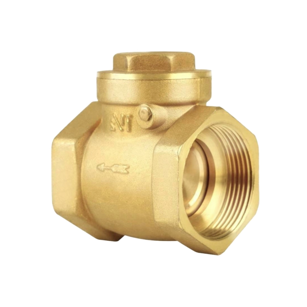 Swing Check Valve (NRV)