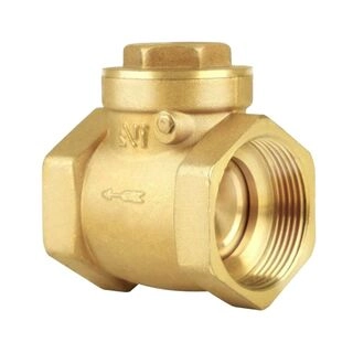 Brass Swing Check Valve-(1 Inches) - KNR193