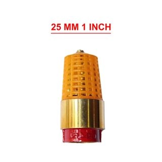 Foot Valve Pvc Jali-(2 Inches) - SKI04
