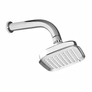 Shower With Arm (Prince)-V17330