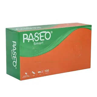 PASEO CAR BOX 100PULL