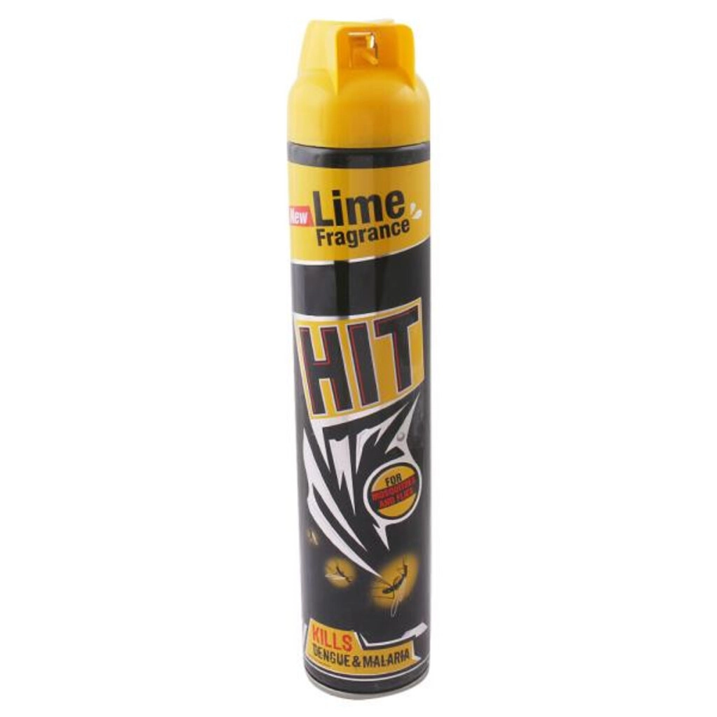 BAYGON MAX MOSQUITO & FLY KILLER (625 ml)