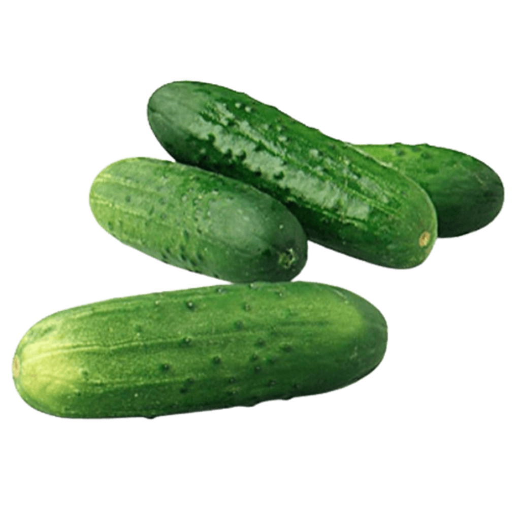 VEG HILTEN CUCUMBER BULK (1 kg)
