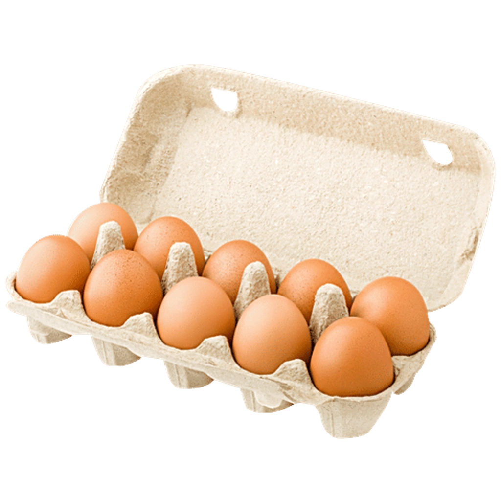 Z-EGGSS ORGANIC BROWN 10N (nos)