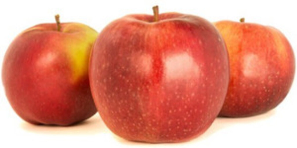 VEG APPLE AMARI BULK (1 kg)