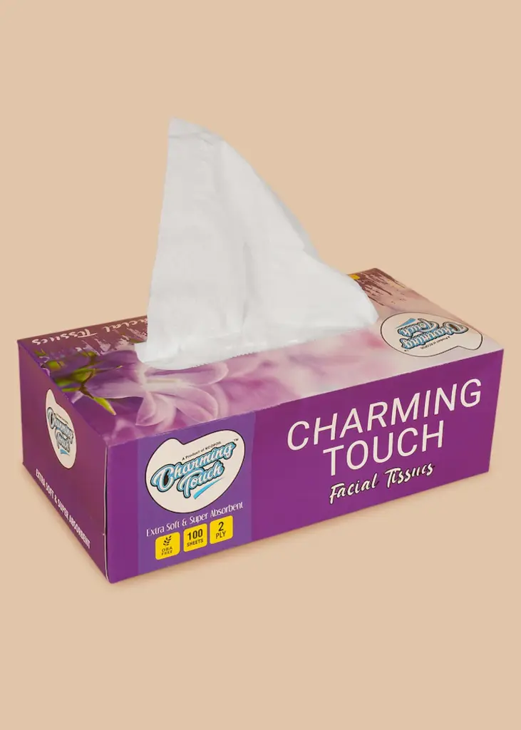 CHARMING TOUCH  2PLY FACIAL TISSUE 100 S (nos)