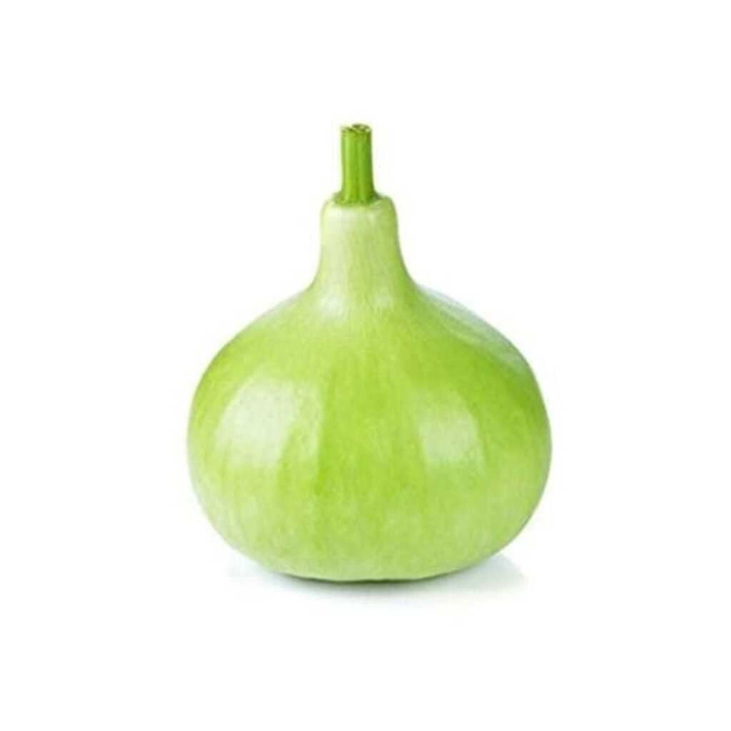 VEG BOTTLE GOURD ROUND BULK (1 kg)
