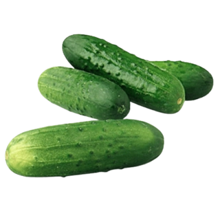 VEG HILTEN CUCUMBER BULK (1 kg)