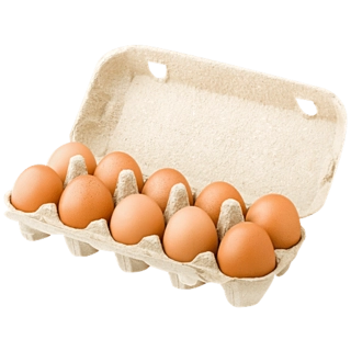 Z-EGGSS ORGANIC BROWN 10N (nos)