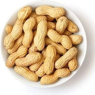 SVH ZH MUNGFALI (500 gm)