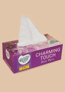 CHARMING TOUCH  2PLY FACIAL TISSUE 100 S (nos)