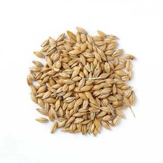SVH ZH WHEAT JAU (100 g)