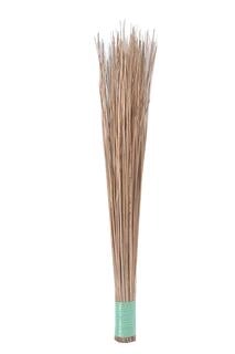 TRIDEVA TILLA JHADU (nos)