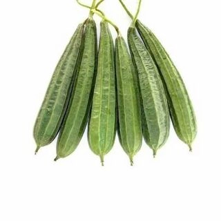 VEG RIDGE GOURD BULK (1 kg)