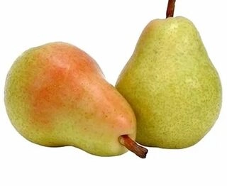 Pears Himachal