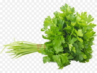 Parsley