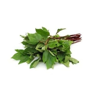 Pundi Leaves( Gongura)