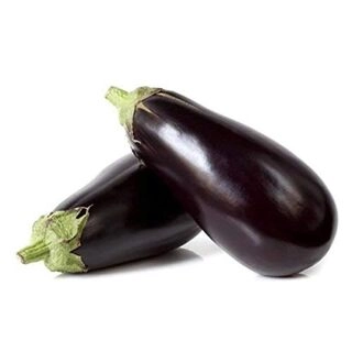 Brinjal Bottle