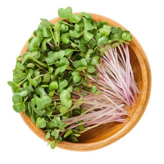 Microgreen healthy mix