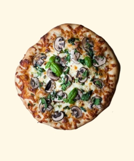 Mushroom Pizza