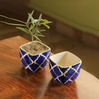 Pots, Planters & Trays