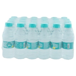 BISLERI 250 ML*24