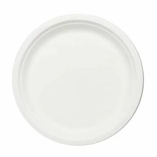 FRESH SAFE EATING ROUND PLAT 11 INCH
