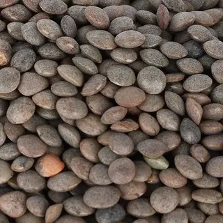 KALI MASOOR DAL 500GM