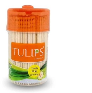TULIPS WOODEN TOOTHPICKS 250 STICKS