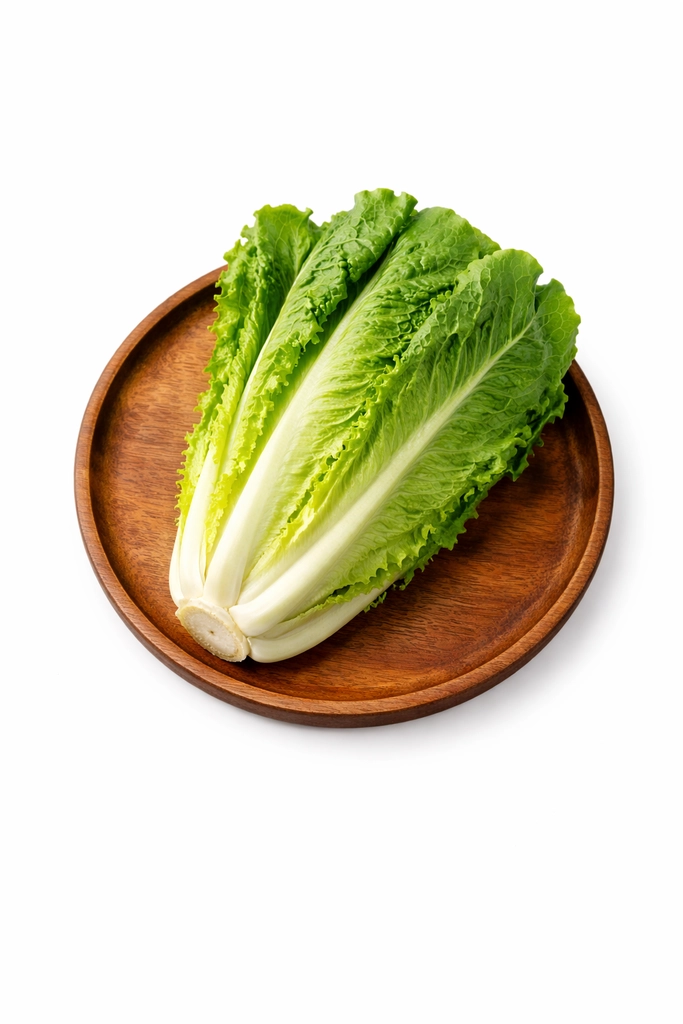 Romaine Lettuce (Roman Salad)