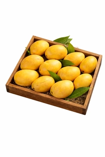 Mango L Phanso