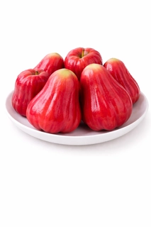Apple Rose Imp