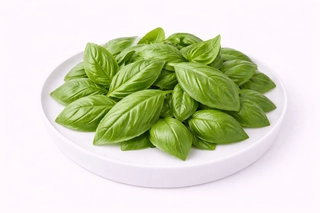 Basil Leaves