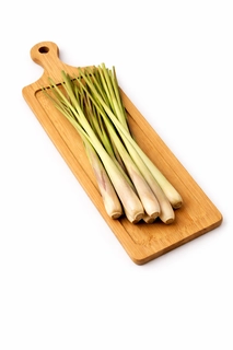 Lemon Grass
