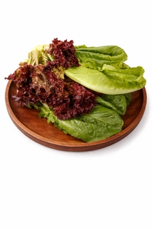 Red Romaine Lettuce (Red Salad)