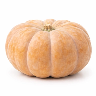 Portion Pumpkin (Pila Petha)